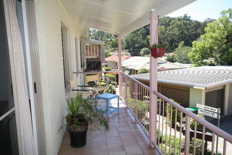 Murwillumbah, Murwillumbah - Thumbnail 5
