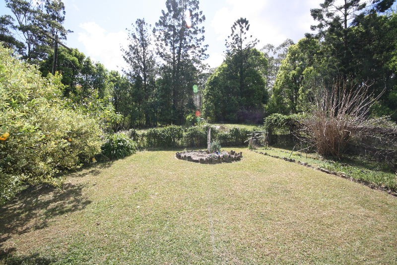 Murwillumbah, Murwillumbah - Thumbnail 4