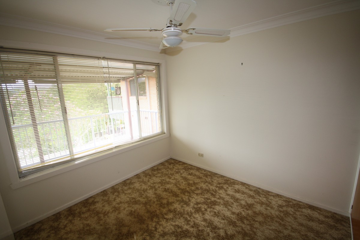 Murwillumbah, Murwillumbah - Thumbnail 4