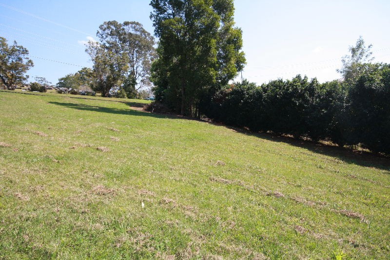 Murwillumbah, Murwillumbah - Thumbnail 3