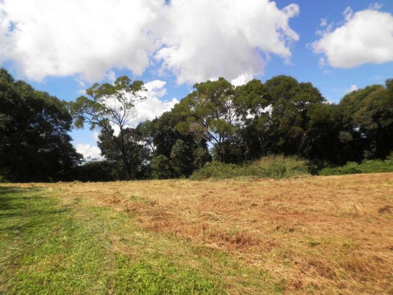 226 Balmoral Road, Montville - Thumbnail 2