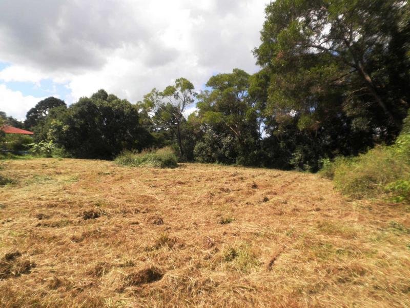 226 Balmoral Road, Montville - Thumbnail 4