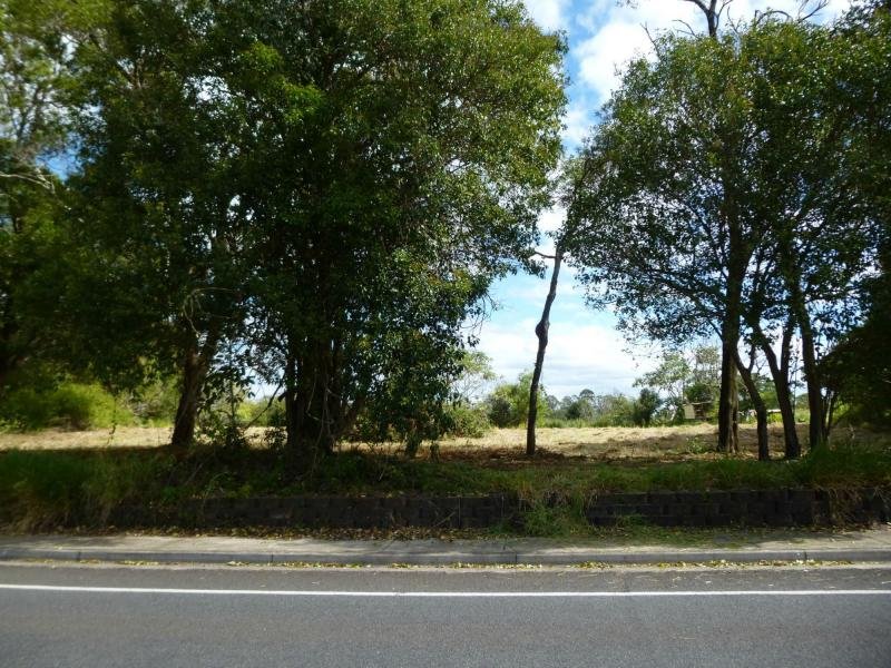 226 Balmoral Road, Montville - Thumbnail 4