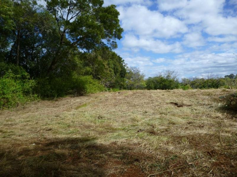 226 Balmoral Road, Montville - Thumbnail 5