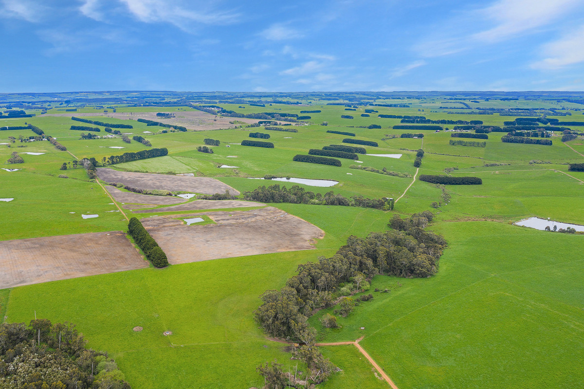 125 Coradjil Road, Simpson, VIC, Simpson - Thumbnail 3