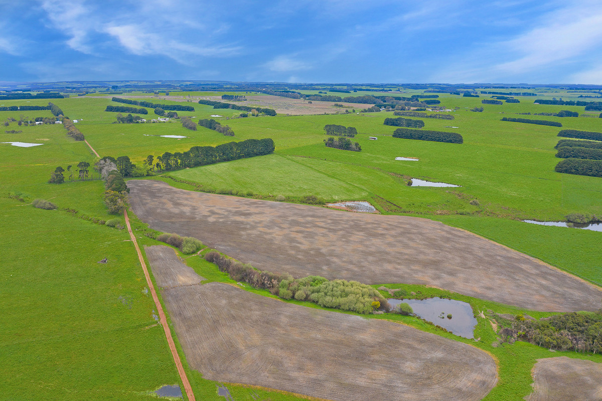 125 Coradjil Road, Simpson, VIC, Simpson - Thumbnail 4