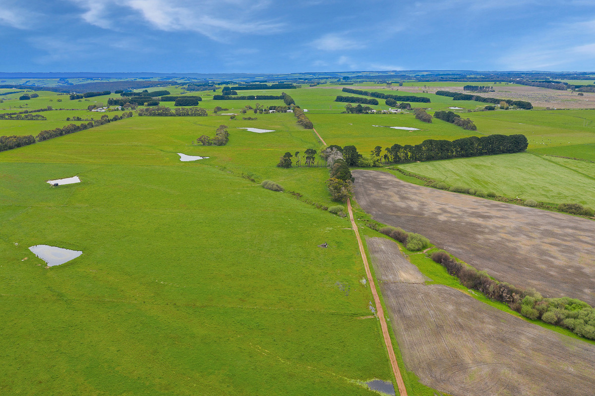 125 Coradjil Road, Simpson, VIC, Simpson - Thumbnail 5