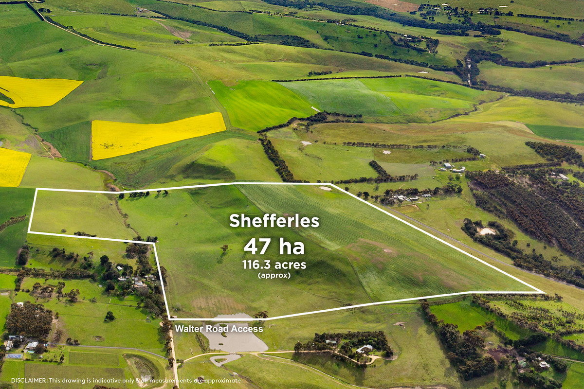 90 Walter Road, Barrabool, VIC, Barrabool - Thumbnail 2