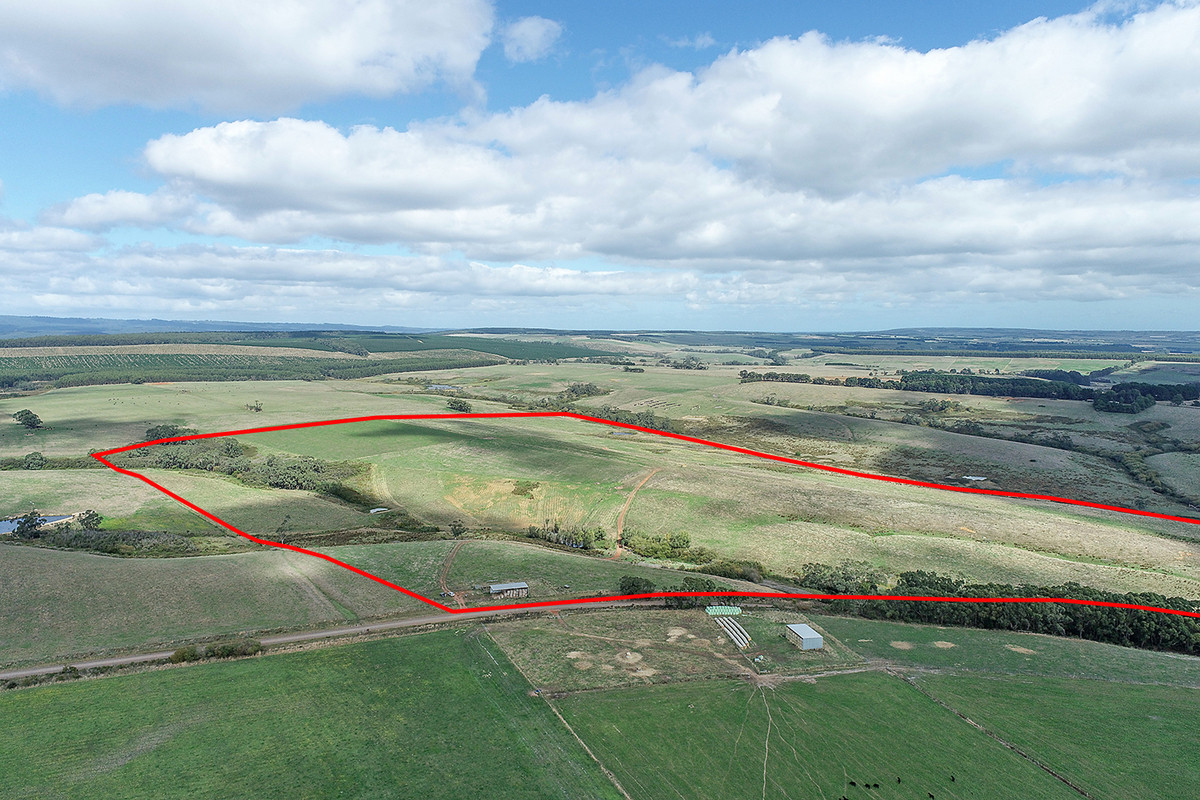 1645 Coradjil Road, Simpson, VIC, Simpson - Thumbnail 3