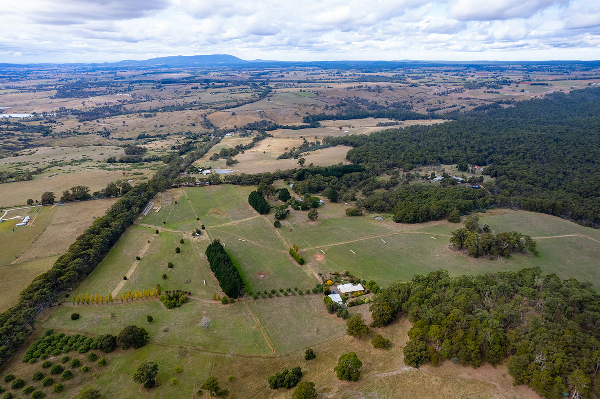 654 Spring Hill Road, Spring Hill, VIC, Spring Hill - Thumbnail 8