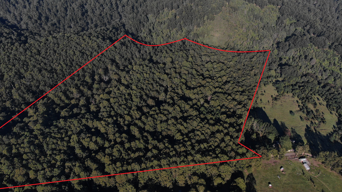 255 Upper Gellibrand Road, Barramunga, VIC, Barramunga - Image 1