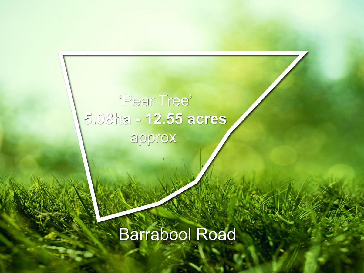 Barrabool Road, Barrabool, VIC, Barrabool - Thumbnail 8