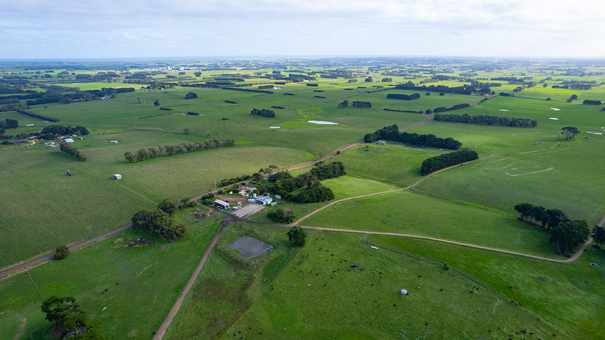 149 Chisletts Road, Cudgee, VIC, Cudgee - Thumbnail 4