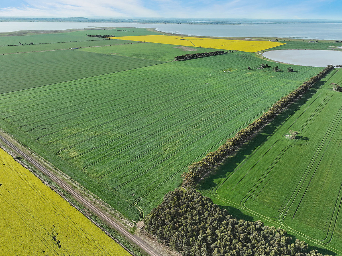 240 Homestead Road, Leslie Manor, VIC, Leslie Manor - Thumbnail 2