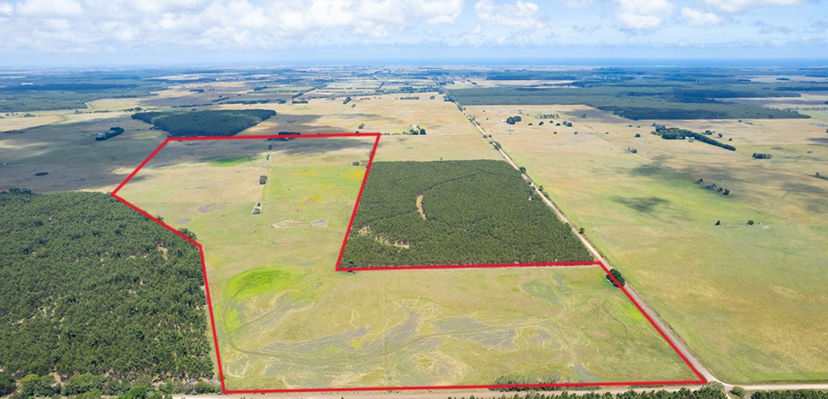 4762 Woolsthorpe-Heywood Road, Bessiebelle, VIC, Bessiebelle - Image 1