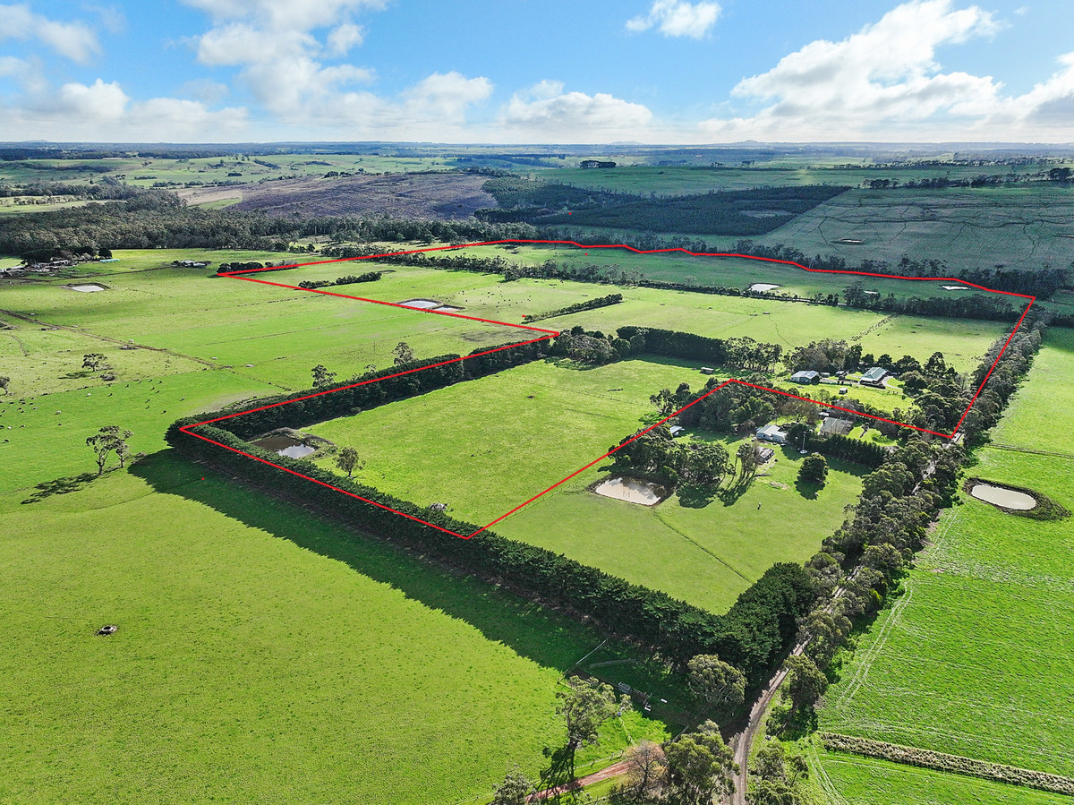 40 Couchs Road, Scotts Creek, VIC, Scotts Creek - Thumbnail 5