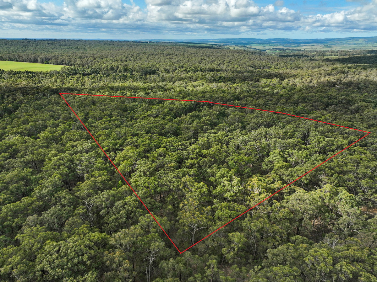 245 McCalls Road, Yeodene, VIC, Yeodene - Image 1