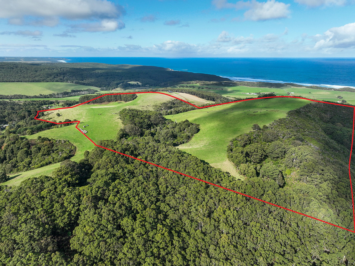 105 Stafford Road, Johanna, VIC, Johanna - Image 1