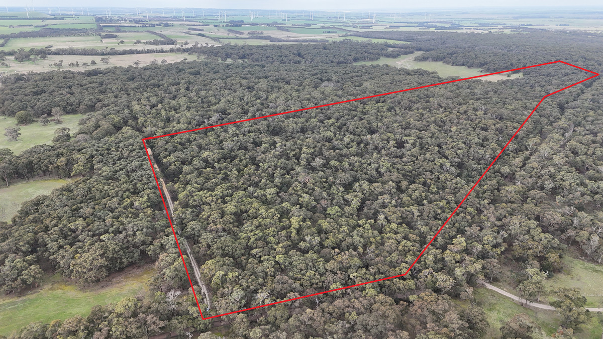 A47\PP3752 Tippetts Road, Mount Mercer, VIC, Mount Mercer - Image 1