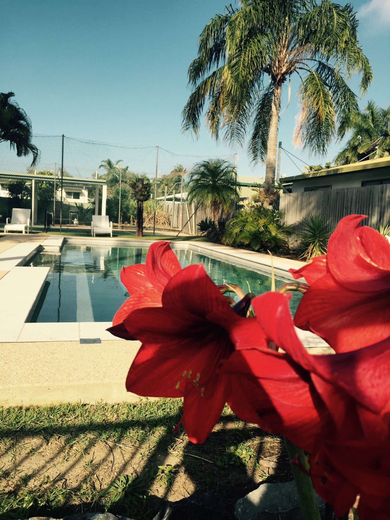 Property For Rent in Blacks Beach