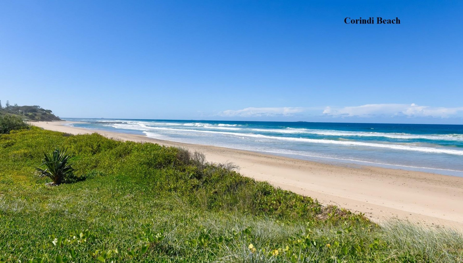 47 Saltwater Crescent, Corindi Beach - Thumbnail 5