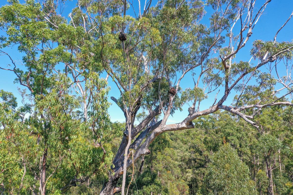 3282 Solitary Islands Way, Corindi Beach - Thumbnail 4