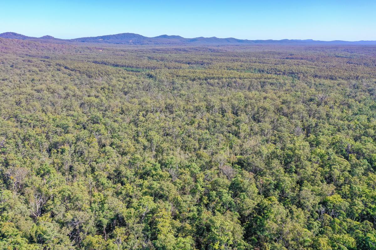 3282 Solitary Islands Way, Corindi Beach - Thumbnail 5