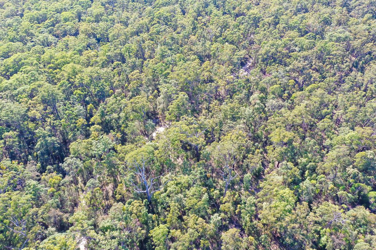 3282 Solitary Islands Way, Corindi Beach - Thumbnail 6