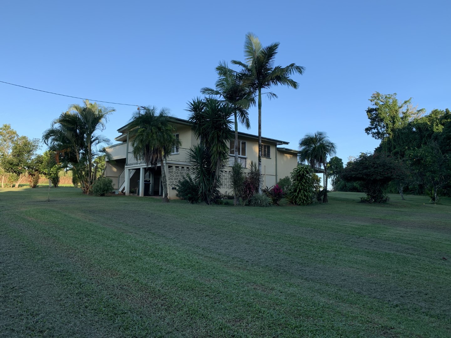 95 Carney Street, Daradgee, Daradgee - Thumbnail 2