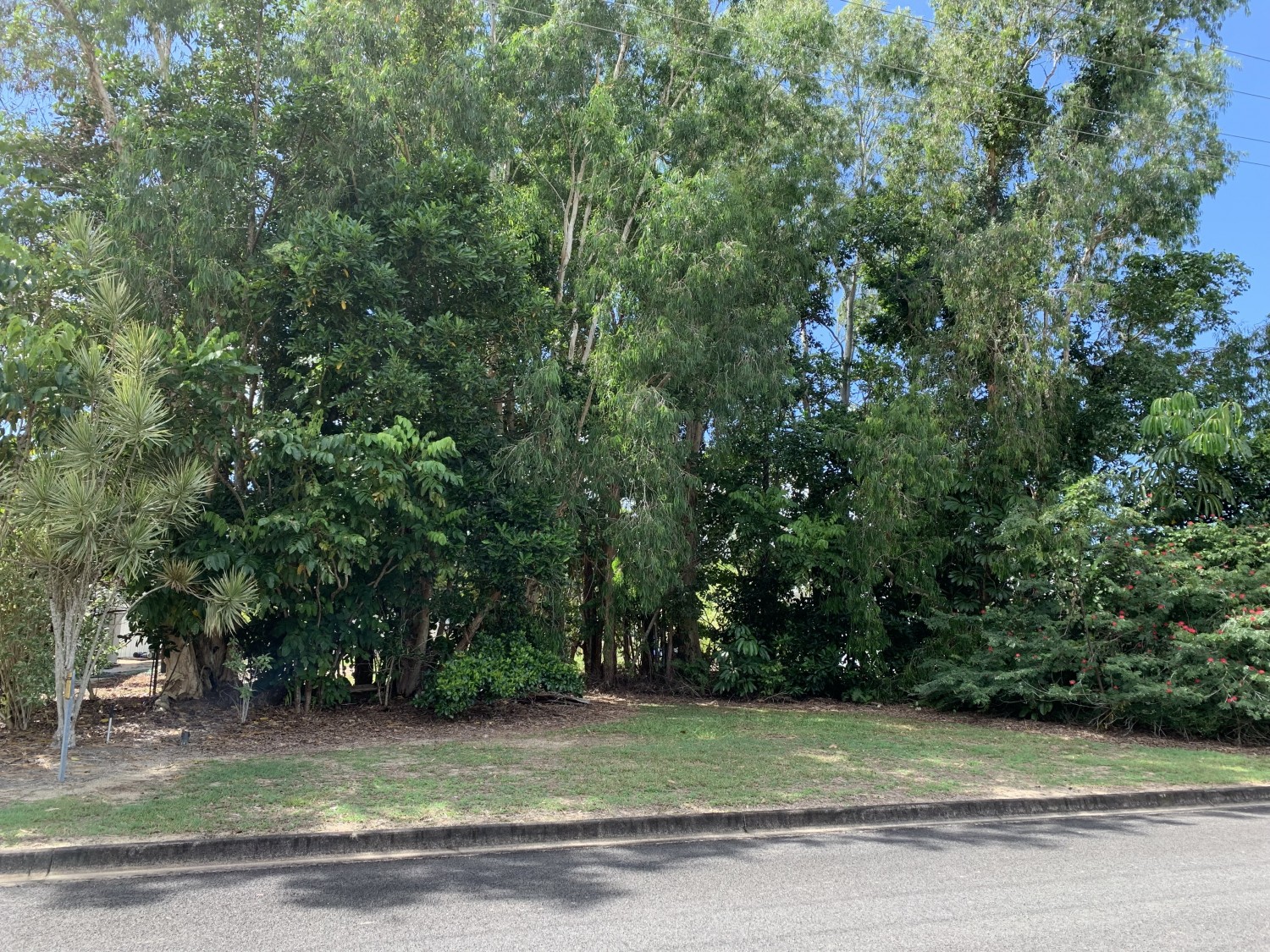 24 Sassafras Street, Bramston Beach, Bramston Beach - Thumbnail 2