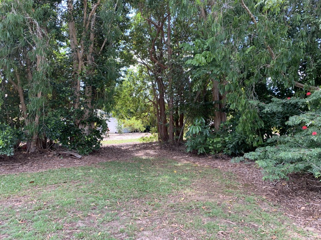 24 Sassafras Street, Bramston Beach, Bramston Beach - Thumbnail 8