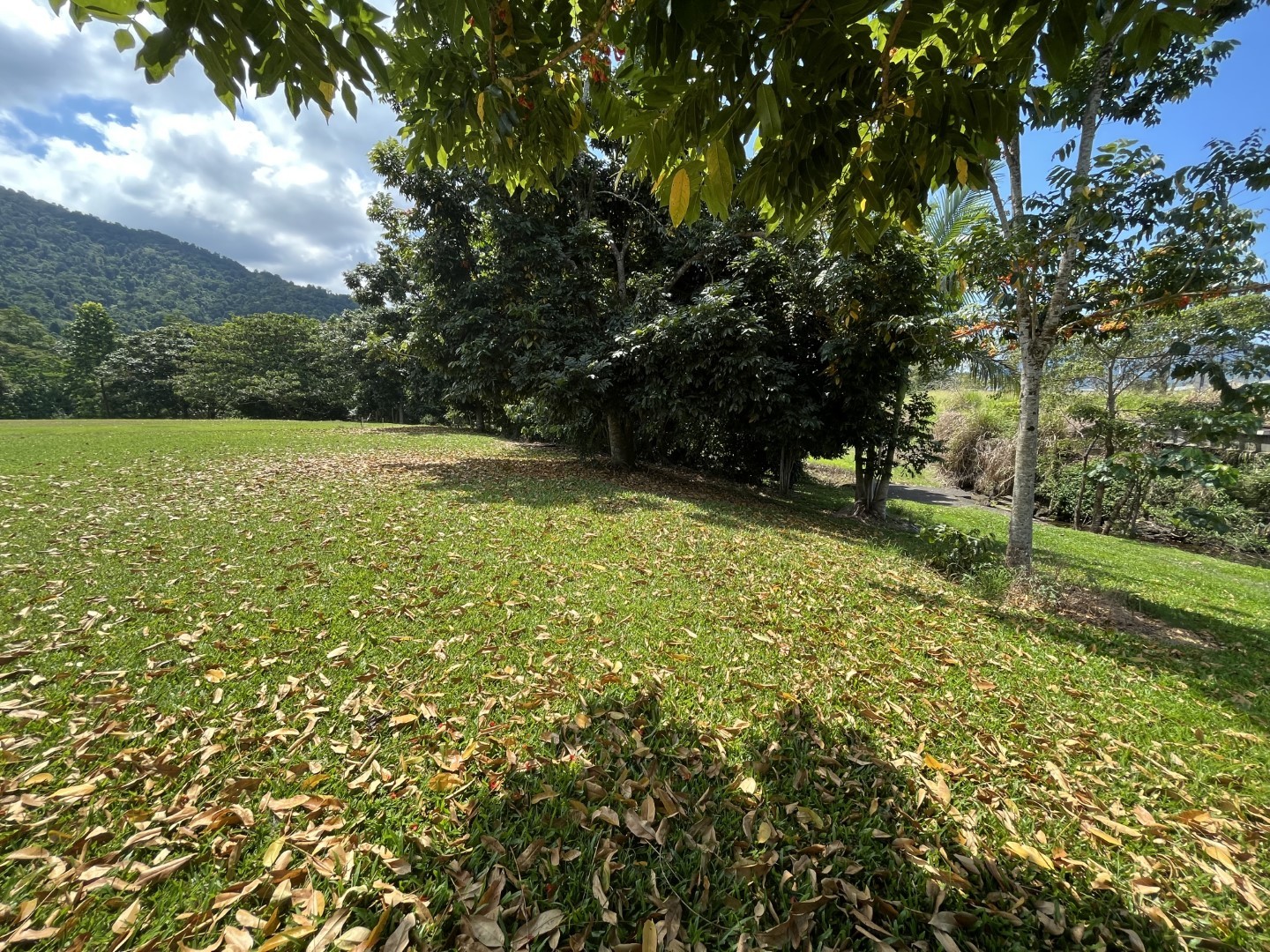 7 Ulysses Close, Babinda, Babinda - Thumbnail 6