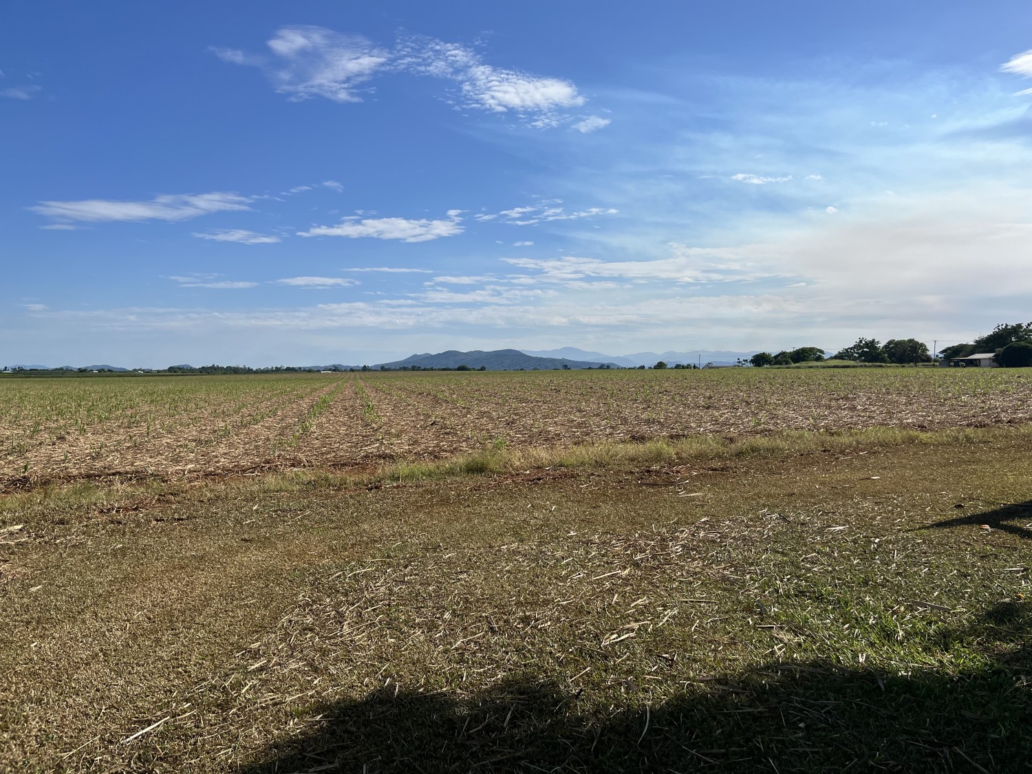 91 Aerodrome Road, Mundoo, Mundoo - Thumbnail 7