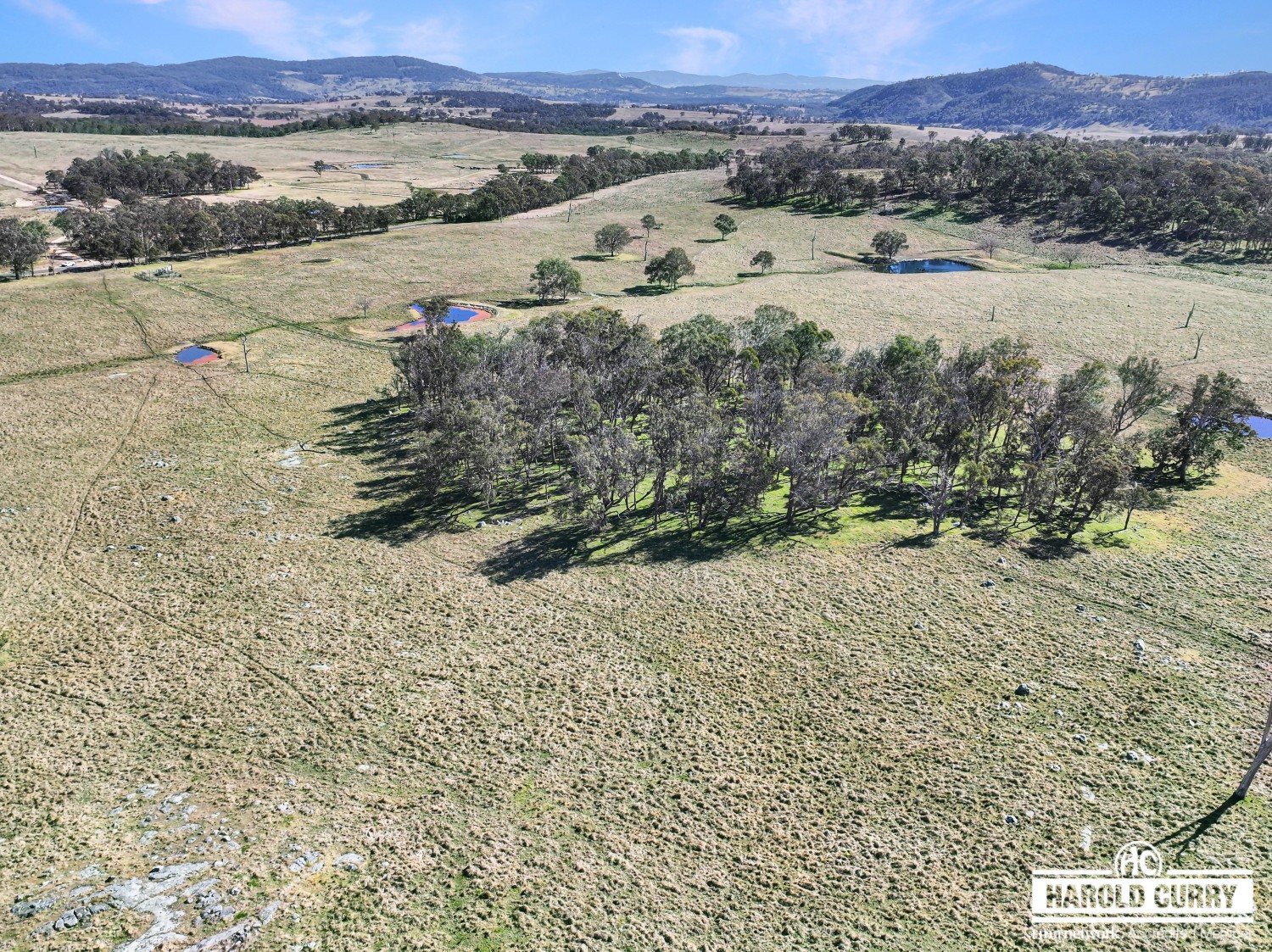 Property For Sale in Tenterfield