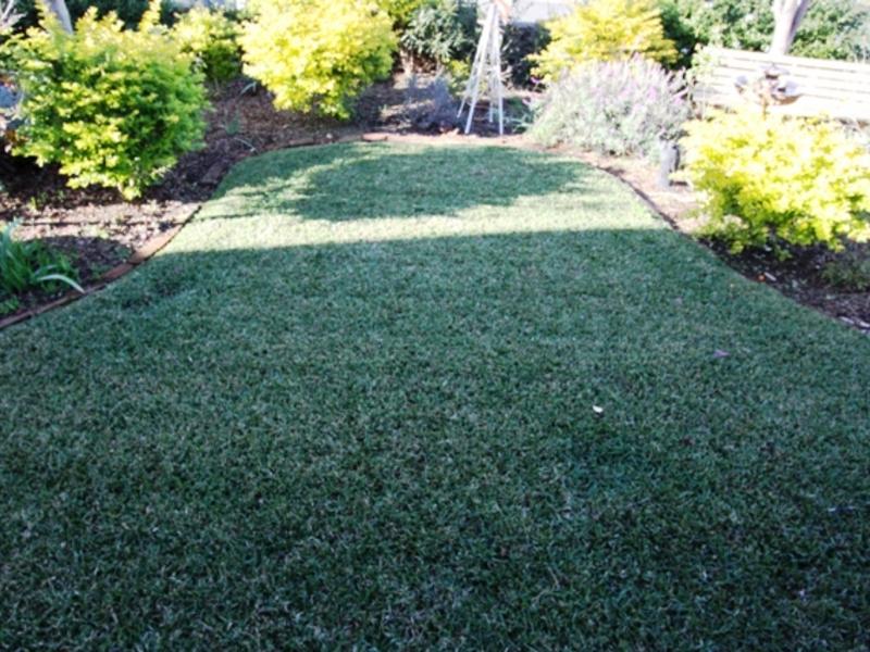 12 Farnsworth Ave, Campbelltown - Thumbnail 7