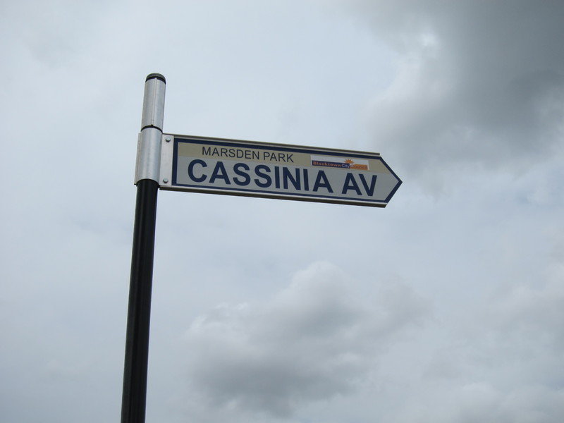 20 Cassinia Avenue, Marsden Park - Thumbnail 3