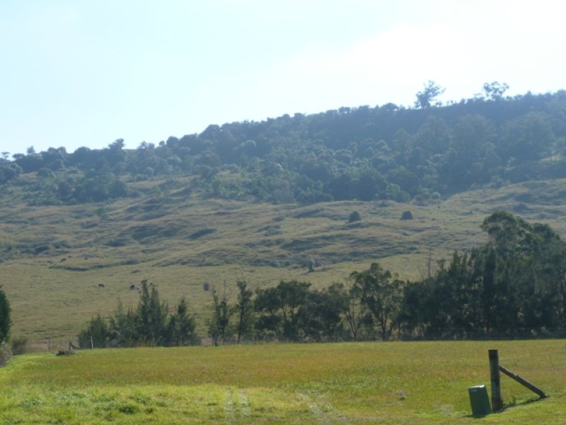 , - Image 1