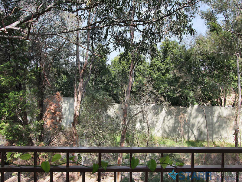13/7-11 Tiara Place, Granville - Thumbnail 5