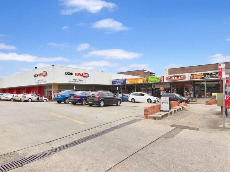 8 Torrens Street, Merrylands - Thumbnail 7