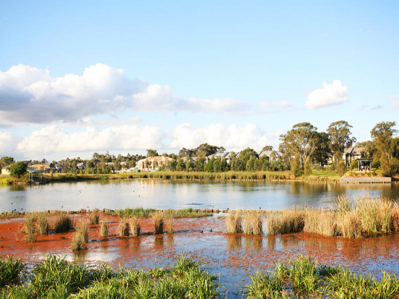 21 Bulbi Street, Pemulwuy - Thumbnail 3