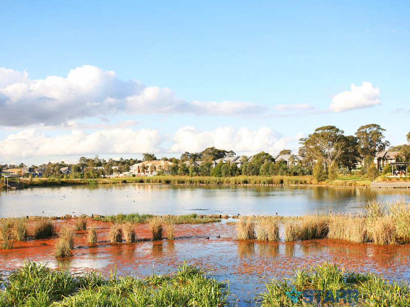 21 Dungara Drive, Pemulwuy - Thumbnail 6