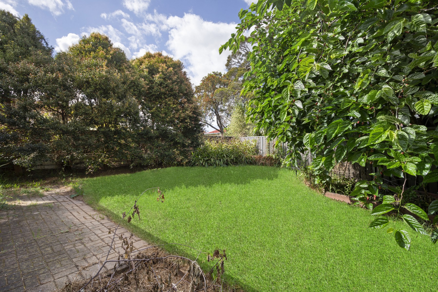 58 Pavesi Street, Guildford - Thumbnail 3