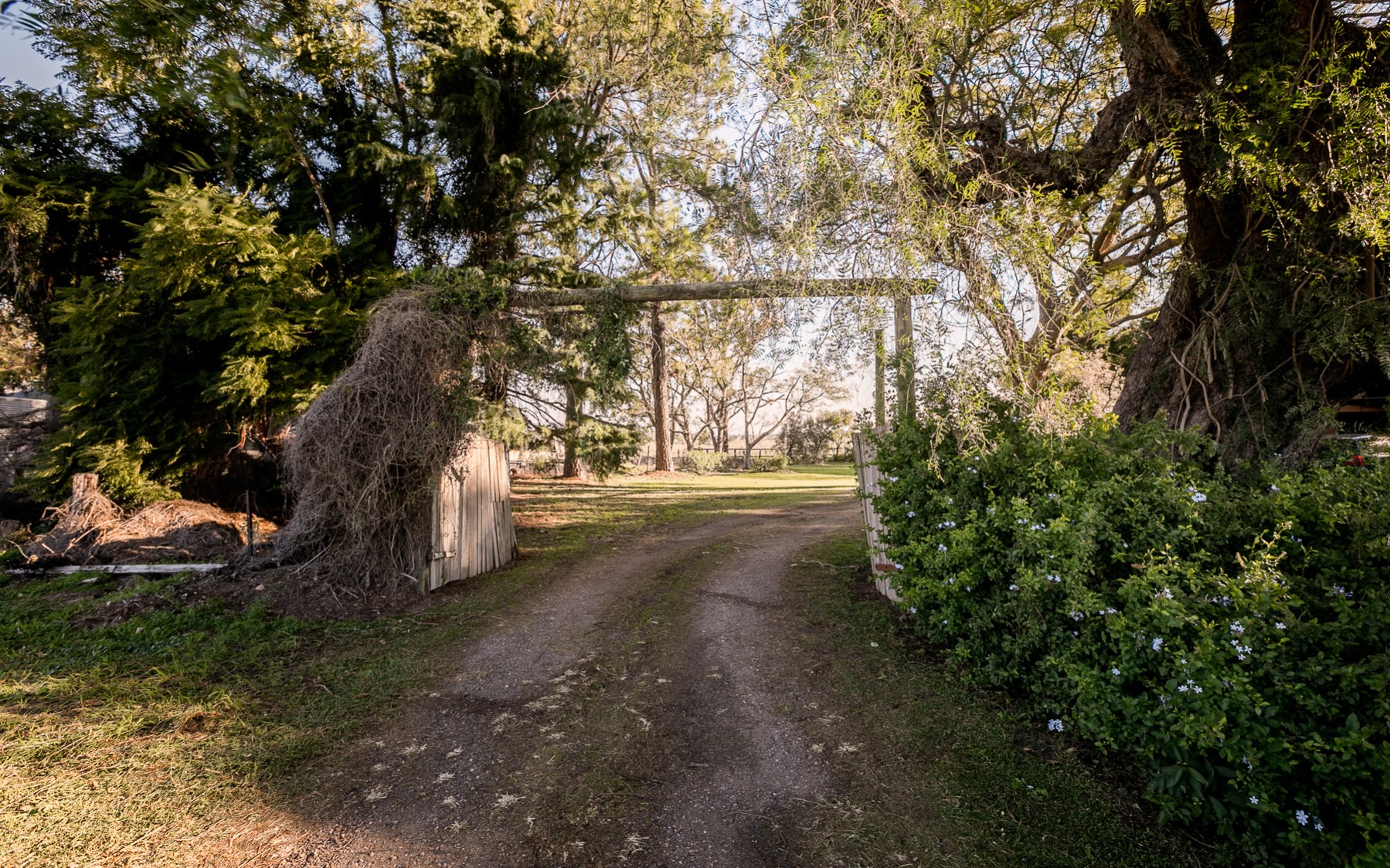 Bridge House, 1 High Street Maitland, Maitland Sold Property