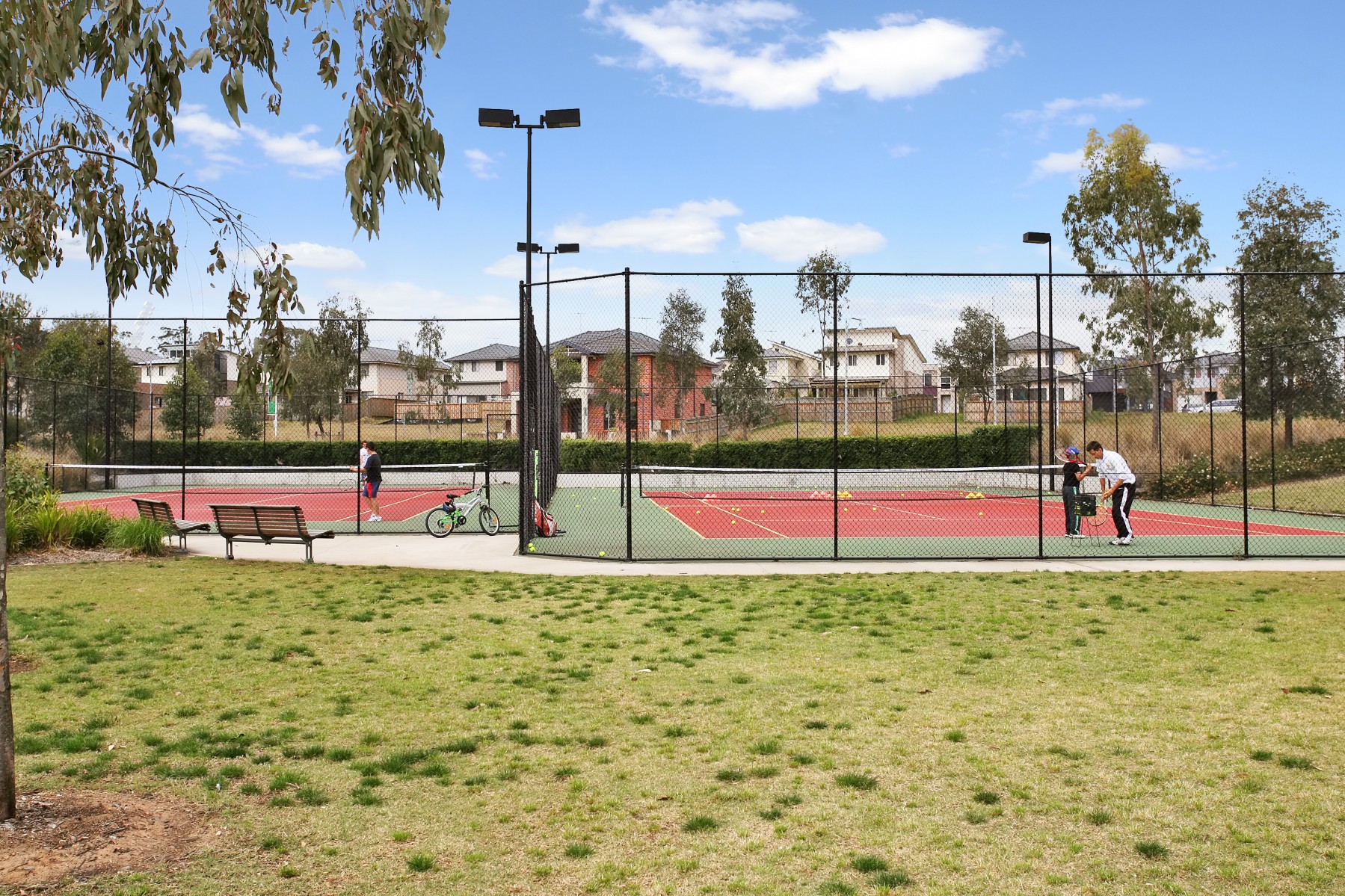 Lot 2059/144 Daruga Avenue, Pemulwuy - Thumbnail 6