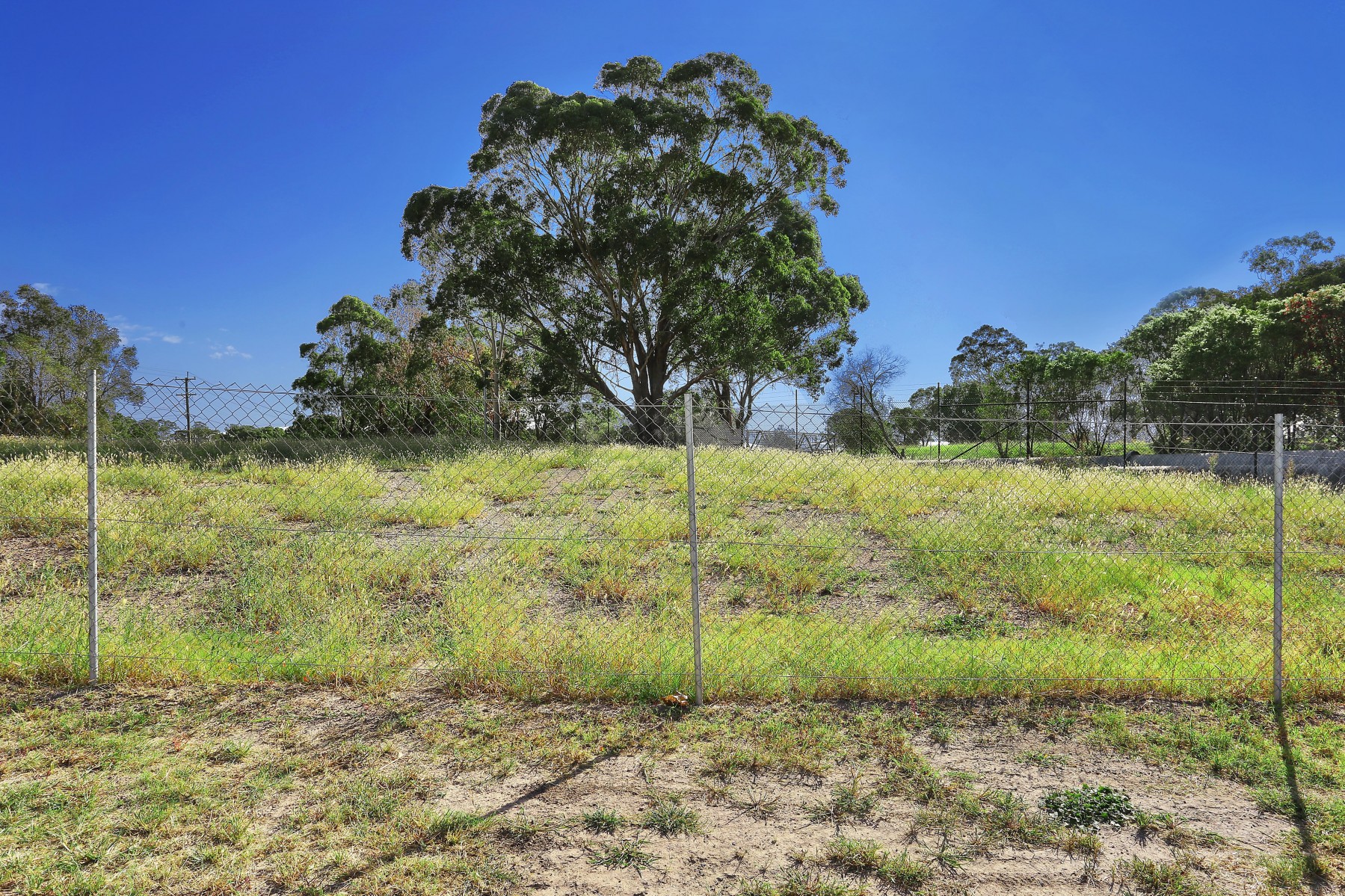 7 Pipehead Crescent, Guildford - Thumbnail 7