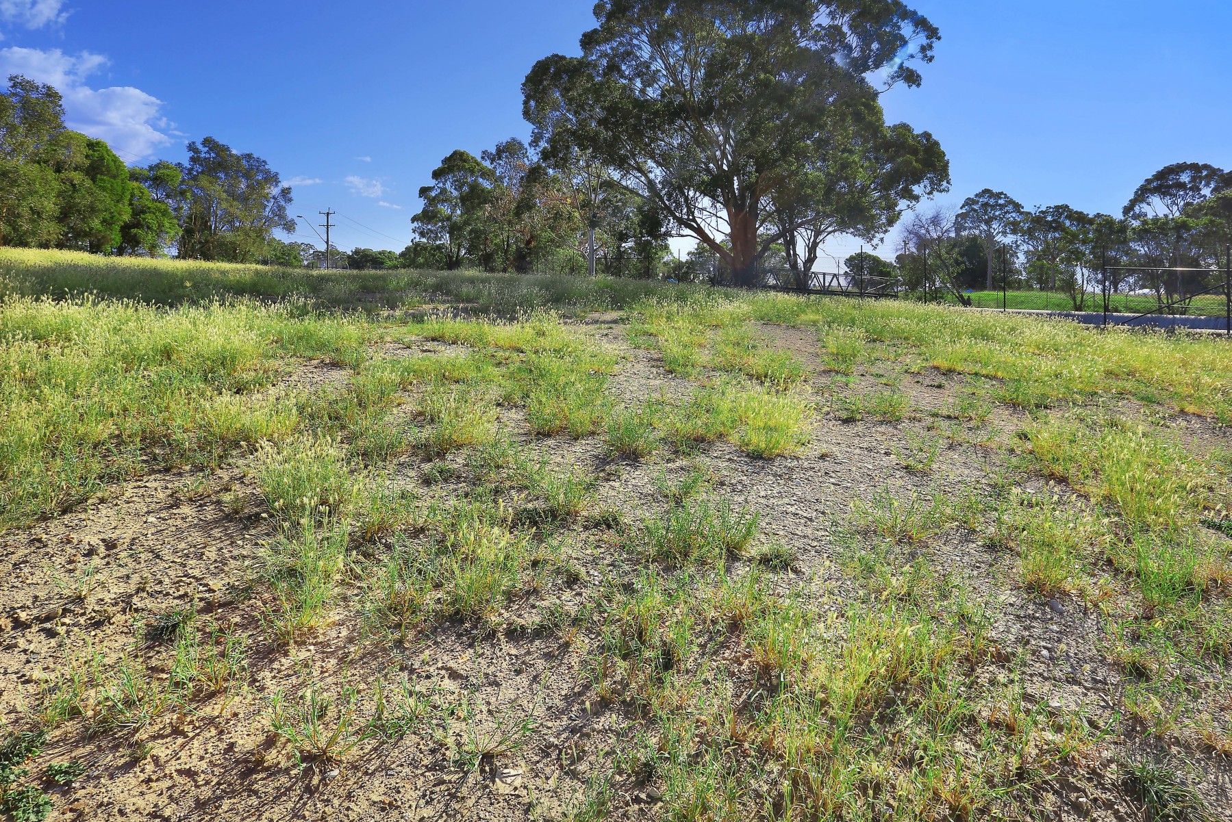7 Pipehead Crescent, Guildford - Thumbnail 8