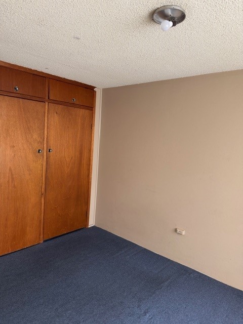 11/1 Newman St Merrylands, Unit for Rent, Merrylands - Thumbnail 4