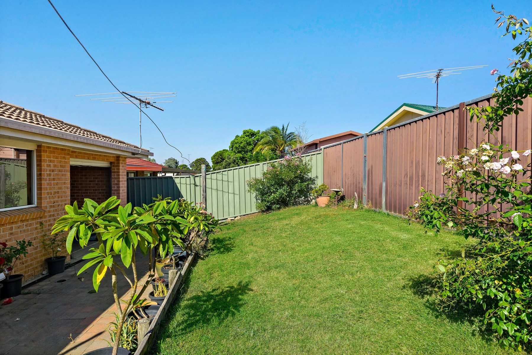 9 Tulipwood Drive, Colyton - Thumbnail 2