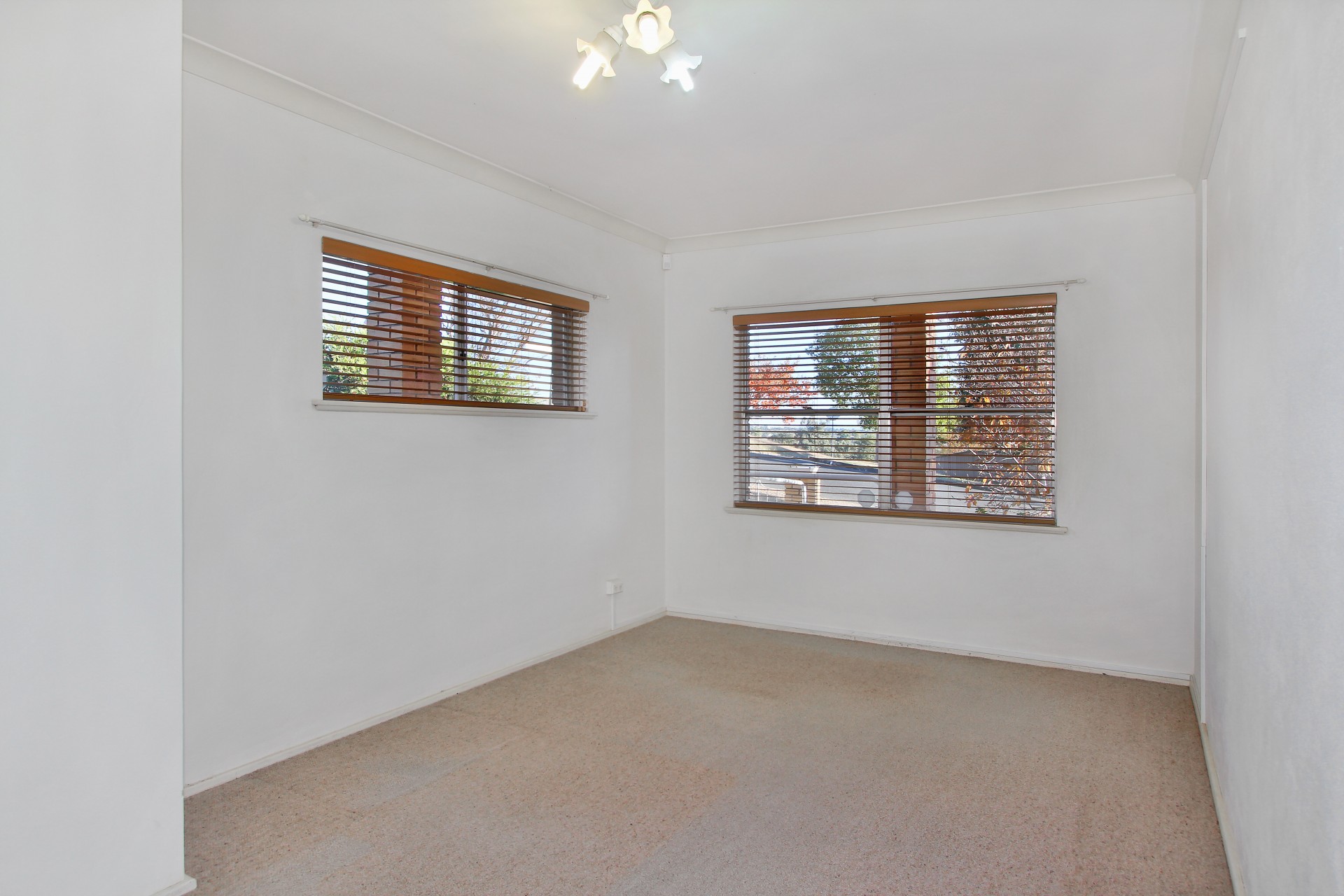 16B Carthage Street, Tamworth > Tamworth Property Co