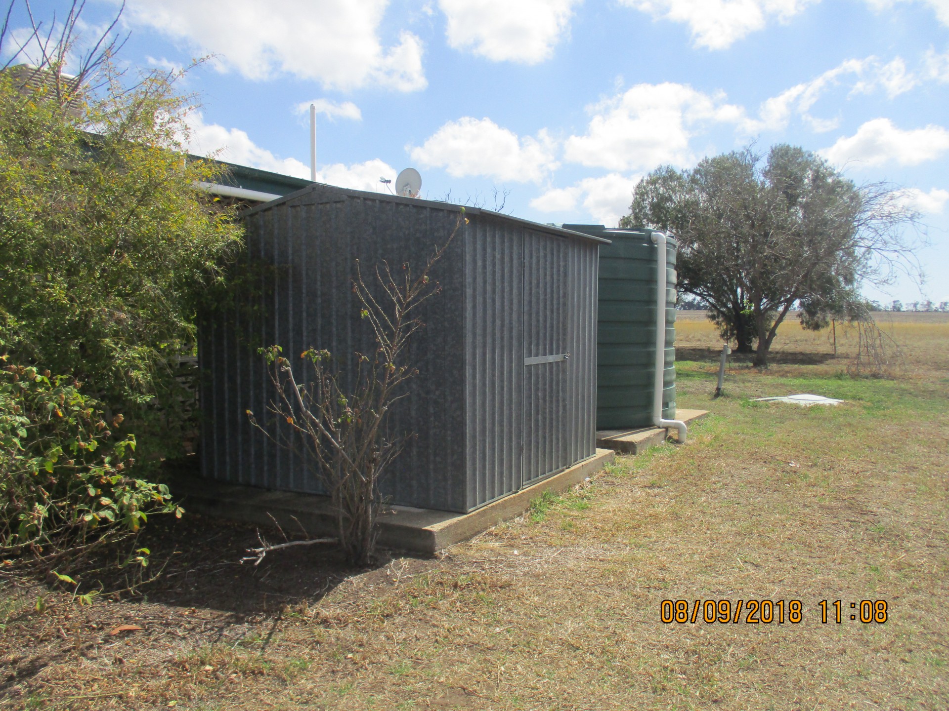 Newstead Cottage, Pallamallawa > North West Real Estate & Livestock